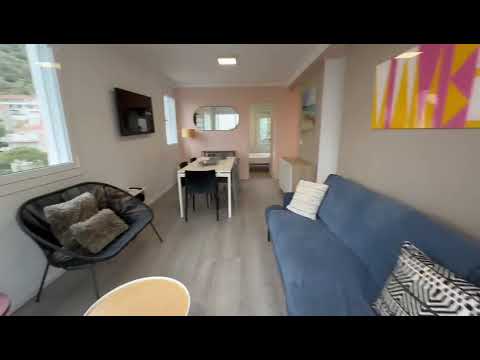 Property video