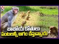 Public And Farmers Facing Problems With Monkeys | Khammam | V6 News