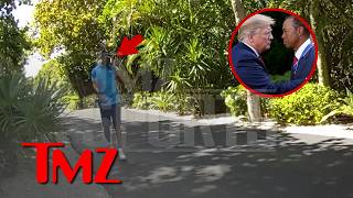 Tiger Woods Calls DONALD TRUMP After Flipping Car | TMZ Sports