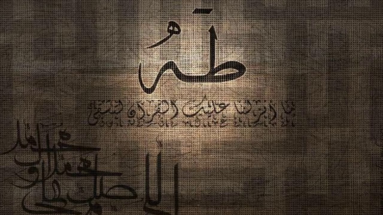 الراشد cover image