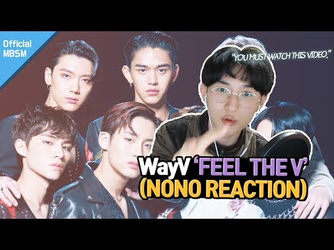 Who is 'WayV'??