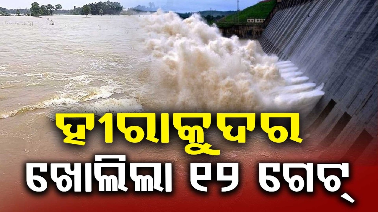 Odisha Flood Reality: 8 Lakh People Affected in 25 Districts; 12 Gates Open in Hirakud | Argus News