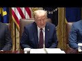 LIVE: Trump participates in a Cabinet meeting  - 03:17:13 min - News - Video