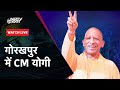 Lok Sabha Election 2024: UP के Gorakhpur में CM Yogi Adityanath की विशाल जनसभा | NDTV India