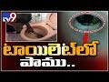 Bengaluru man finds Cobra inside toilet bowl; rescue video goes viral