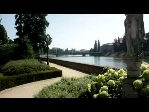 sample video i8910