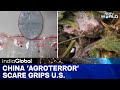 China Agroterror: Another Chinese Scientist Arrested At US Airport