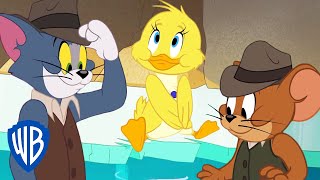 Tom a Jerry - opatrovnícii