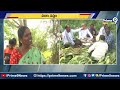 10 వేల ఎకరాల్లో భారీ పంట నష్టం | KCR condolences Farmers Who Lost harvest | Prime9 News