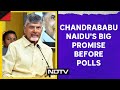 Andhra Pradesh Politics | Chandrababu Naidus Spirited Poll Pledge For Andhras Liquor Lovers