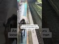 An escaped horse runs loose at a train station  - 00:27 min - News - Video