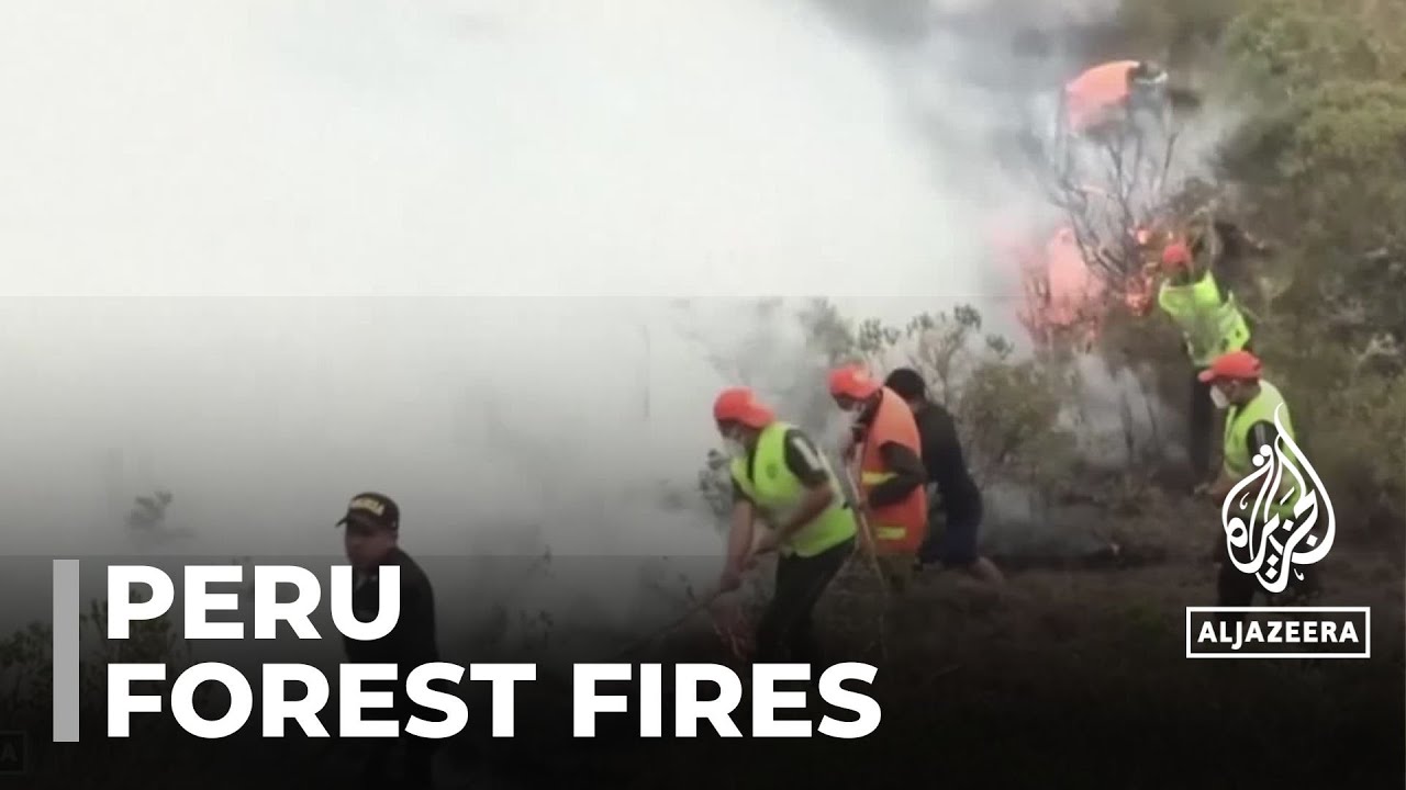 Peru wildfires: Country declares state of emergency