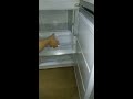 Обзор холодильника Daewoo RNH3210SNH