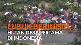 Lubuk Beringin, Hutan Desa Pertama di Indonesia
