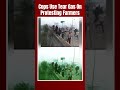 Haryana: Police Use Tear Gas To Disperse Protesting Farmers At Shambhu Border In Ambala  - 00:58 min - News - Video