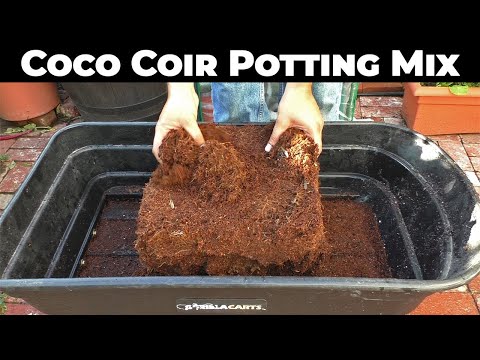 video Ready Coco Peat 2 kg