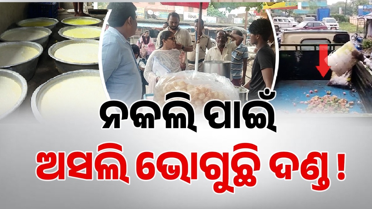 Fake Paneer Racket: Real Dairy Farmers Suffering In Odisha | Ground Report | Argus News