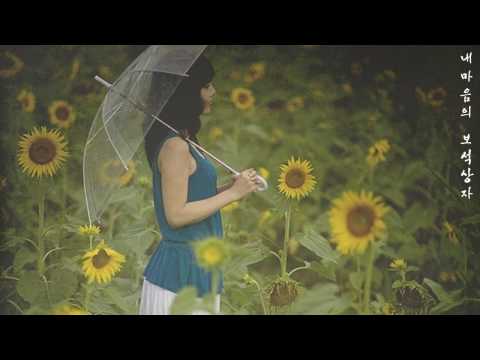 해바라기 - 내마음의 보석상자 (1986年)