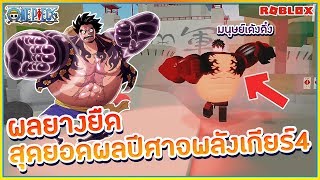 Steves One Piece ผลยางย ด - roblox steve s one piece 2 ร ว วผลยางย ด vilook