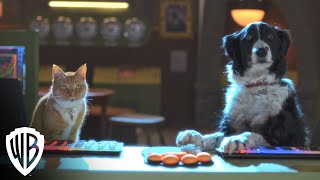 Cats & Dogs 3: Paws Unite! | Trailer | Warner Bros. Entertainment HD