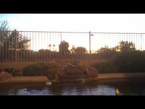 Property video