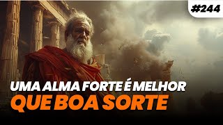 veja-mais-videos