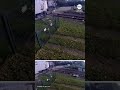 Train plows through truck caught on tracks in the Netherlands