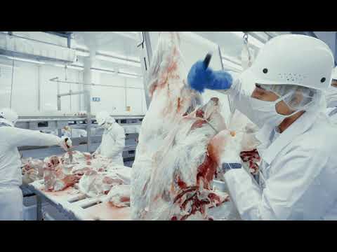 Nicaraguan beef - sustainability Nicaraguan beef - sustainability