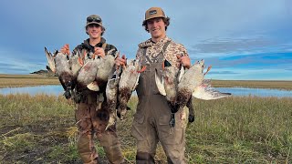 Duck Hunting on a TINY LOADED Pond in Alberta! (Limit)