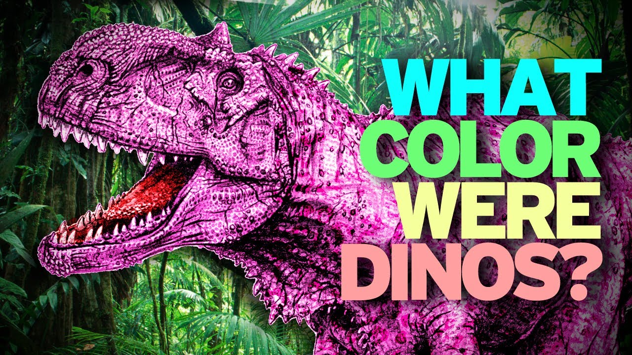 colour of dinosaur skin