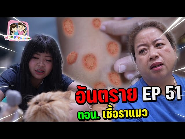 อันตราย EP51 ติดเชื้อราแมว Happy Channel
