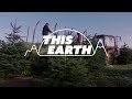 Climate change threatens Hungarys Christmas trees  - 03:21 min - News - Video