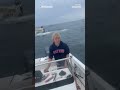 Whale smashes boat, capsizing vessel in New Hampshire  - 00:29 min - News - Video