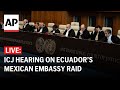 ICJ LIVE: Top UN court hearing on Ecuador’s Mexican embassy raid
