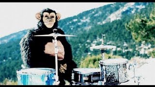Deivhook - Coldplay - Paradise [Parody] ("Monkey"Drum Cover)