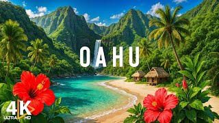 Oahu, Hawaii 4K - Exploring Hawaii's Stunning Beaches and Volcanic Wonders - 4K VIDEO UHD