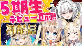 【5期生デビューWeek!!】3人目は「モニカ・メロディア」ちゃん！！【セレナーデ・オックスブラッド/Varium】