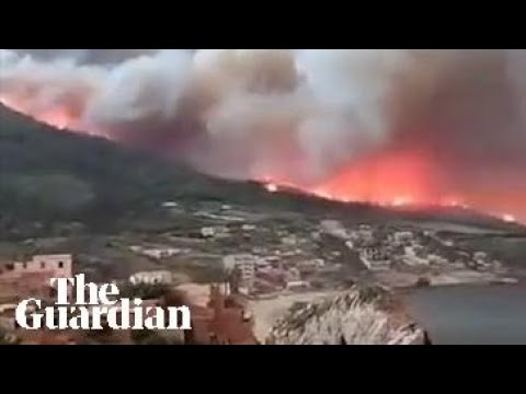 Holidaymakers flee deadly wildfires in Algeria as flames reach beaches