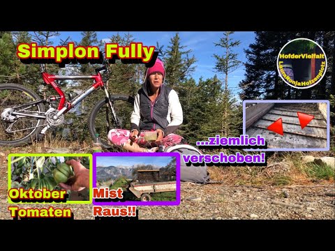 Tomaten Ende Oktober | Stein und Kratzboden passt nicht zusammen | VollKarbon Fully | Simplon MTB