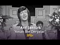 Arif Şentürk - Aman Bre Deryalar (1978) 