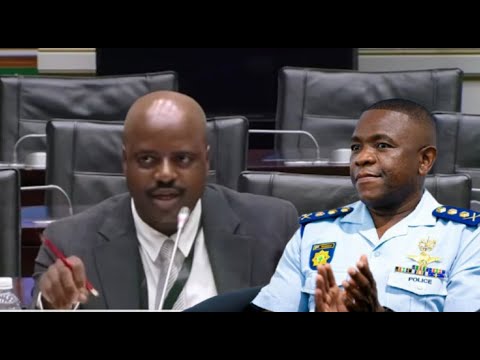 Suspended MKhwanazi Takes The Hot Seat At The SAPS Ad Hoc Committee