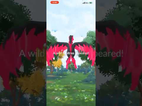 ホビーの動画サムネイル - I ALMOST Missed THIS Galarian Bird Encounter Because Of THIS… #shorts #pokemon