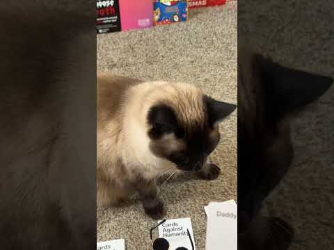 That was not the intended audience....