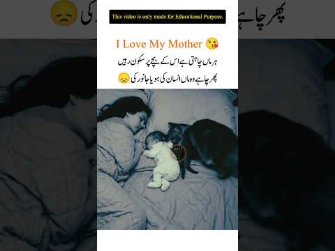 Mother love is So Beautifully 😍