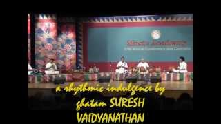 GHATAM Suresh Vaidyanathan - mRittikA vaibhavam Jan 1, 2014 at The Music Academy, Chennai