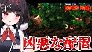 【スーパードンキーコング】一生懸命進みますッ！進ませてくださいッ！うわあああああああ