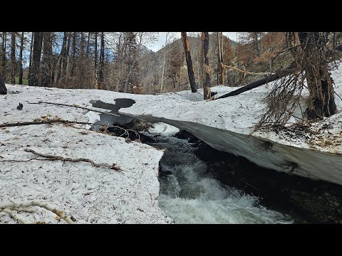 Snow Bridge Fall! Questionable Choices In The Sawtooth Wilderness: Wapiti Fire Area & Grandjean