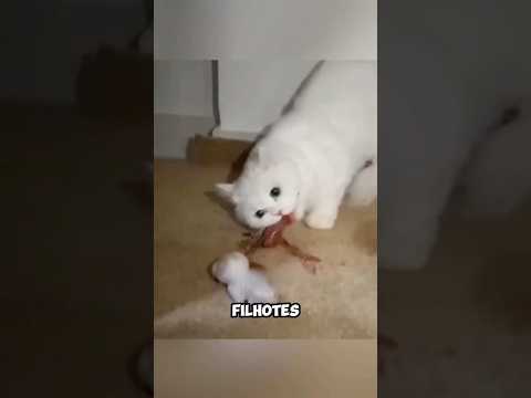 Animais que comem os próprios filhotes! #shorts #natureza #curiosidades #mundoanimal