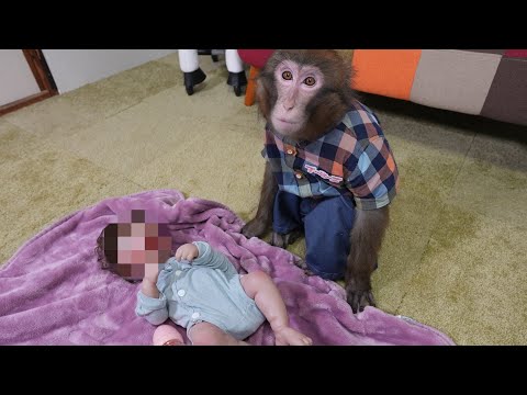 子供が生まれたのでお猿さんに会ってもらいます