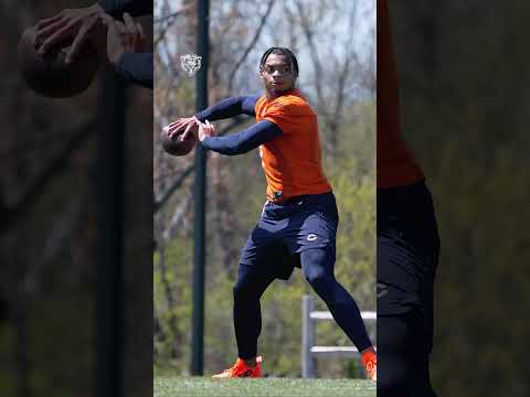 Sundays are gonna be fun  #bears #nfl #justinfields #shorts video clip